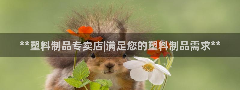 曲靖红太阳集团：**塑料制品专卖店|满足您的塑料制品需求**