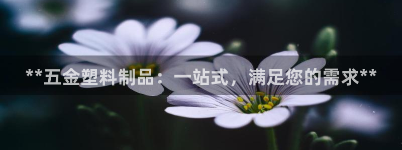 太阳集团tcy8722电子游戏：**五金塑料制品：一站式，满