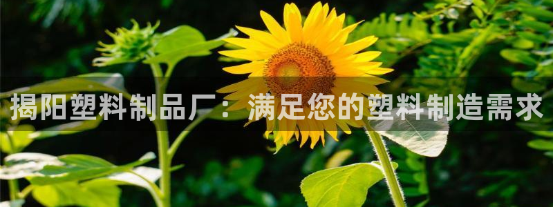 古天乐太阳网城：揭阳塑料制品厂：满足您的塑料制造需求