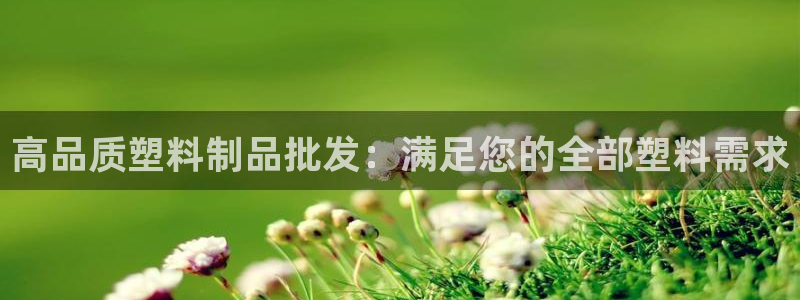 太阳 官网：高品质塑料制品批发：满足您的全部塑料需求