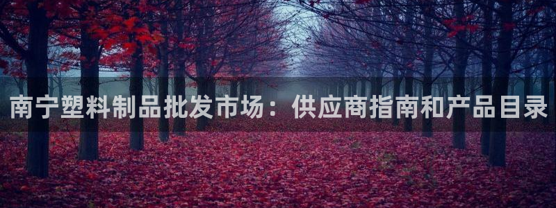 太阳集团城网：南宁塑料制品批发市场：供应商指南和产品目录