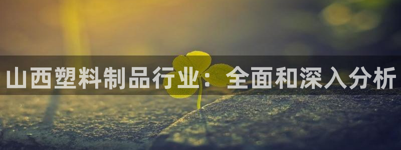 太阳成集团tyc3345：山西塑料制品行业：全面和深入分析