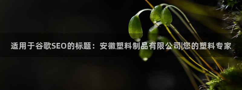 太阳集团城注册就送38welcome：适用于谷歌SEO的标题