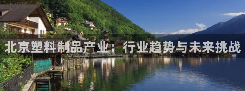 太阳集团董事长是谁照片：北京塑料制品产业：行业趋势与未来挑战