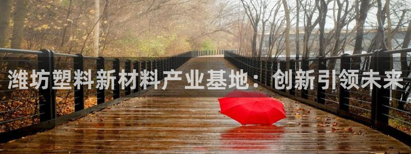 太阳集团2018登录网址是多少：潍坊塑料新材料产业基地：创新