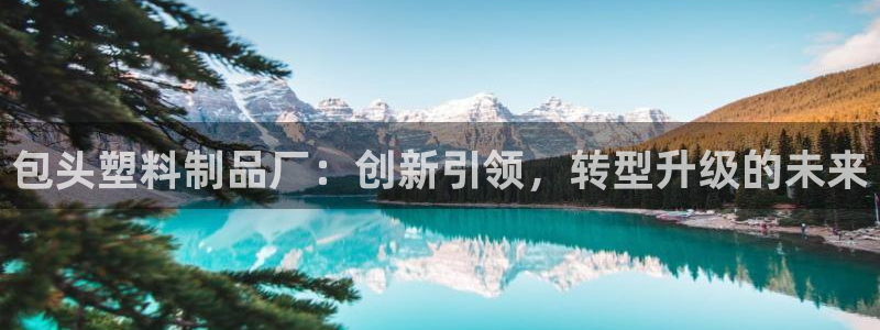 冷太阳演员表：包头塑料制品厂：创新引领，转型升级的未来