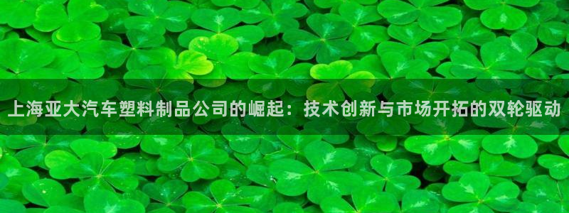 太阳诚集团：上海亚大汽车塑料制品公司的崛起：技术创新与市场开