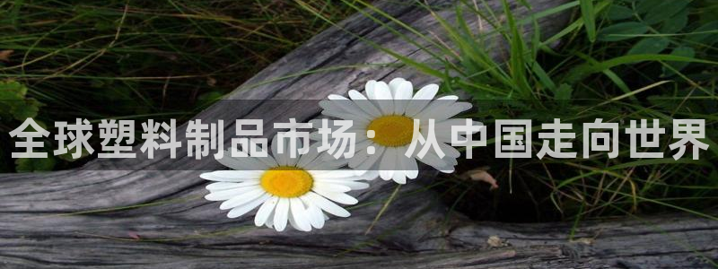 太阳集团2018登录网址：全球塑料制品市场：从中国走向世界