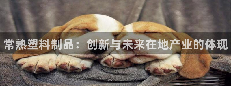 太阳成集团网址：常熟塑料制品：创新与未来在地产业的体现