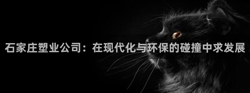太阳集团洗米华菲律宾：石家庄塑业公司：在现代化与环保的碰撞中
