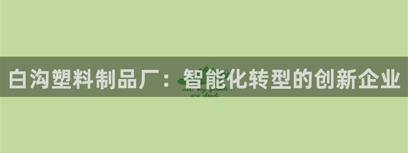 太阳集团城入口：白沟塑料制品厂：智能化转型的创新企业