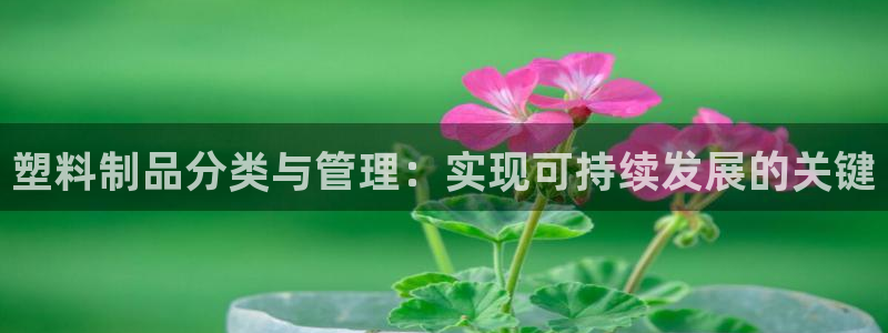 太阳集市网上商城：塑料制品分类与管理：实现可持续发展的关键