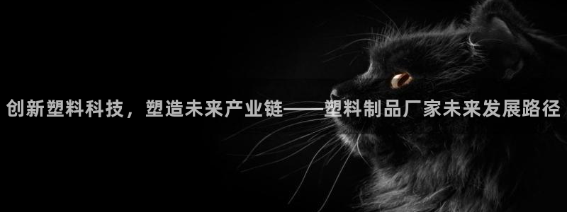 太阳集团娱乐官网8722：创新塑料科技，塑造未来产业链——塑