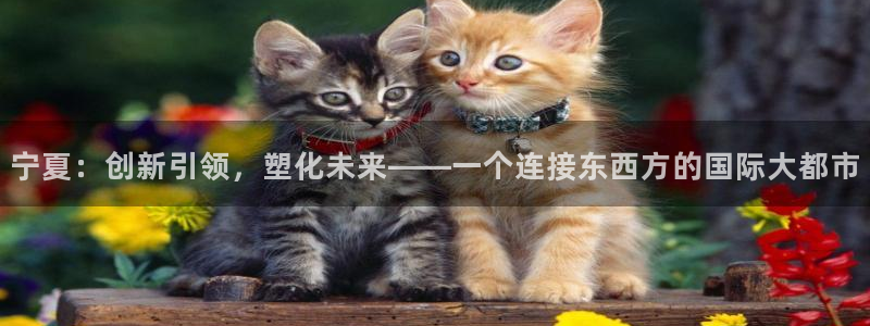 太阳集团董事长是谁照片：宁夏：创新引领，塑化未来——一个连接