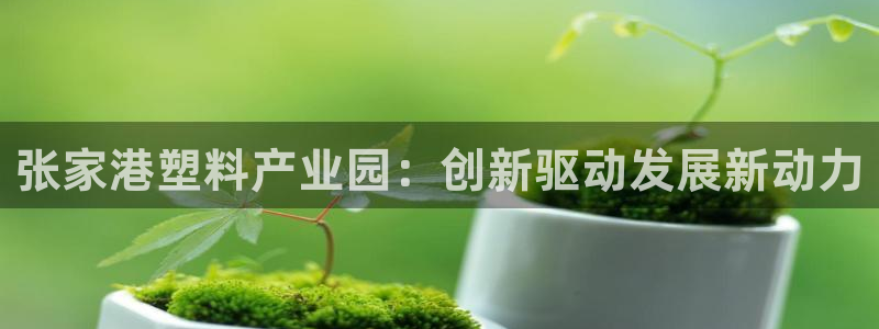 太阳集团旗下品牌：张家港塑料产业园：创新驱动发展新动力