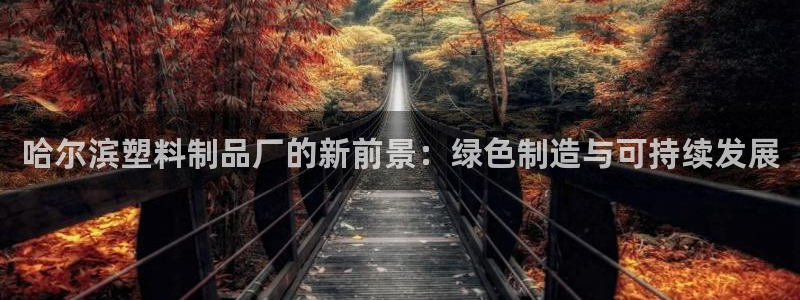 15vip太阳成集团：哈尔滨塑料制品厂的新前景：绿色制造与可