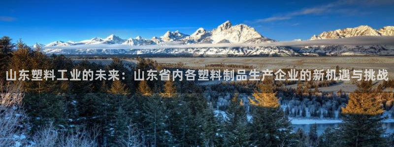 太阳集团游戏软件：山东塑料工业的未来：山东省内各塑料制品生产