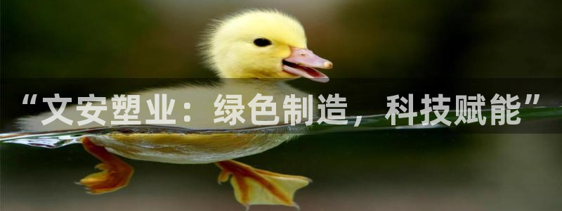 太阳集团电子游戏(中国)有限公司：“文安塑业：绿色制造，科技