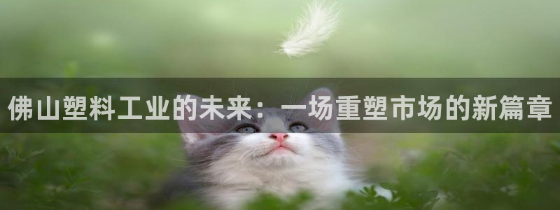 太阳集团董事长是谁照片：佛山塑料工业的未来：一场重塑市场的新