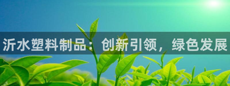 太阳集团城网址娱网：沂水塑料制品：创新引领，绿色发展