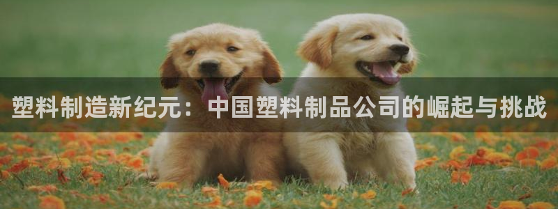 太阳科技集团：塑料制造新纪元：中国塑料制品公司的崛起与挑战