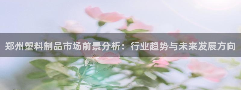 太阳集团主要是做什么的：郑州塑料制品市场前景分析：行业趋势与