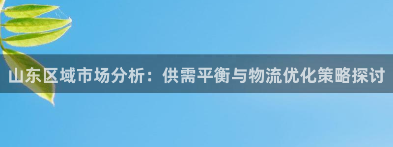 太阳集团2007：山东区域市场分析：供需平衡与物流优化策略探