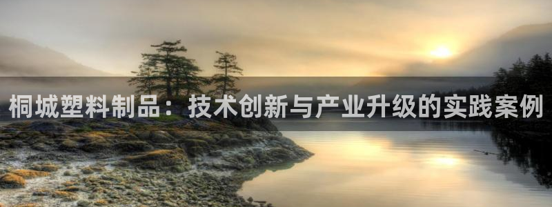 太阳2平台下载：桐城塑料制品：技术创新与产业升级的实践案例