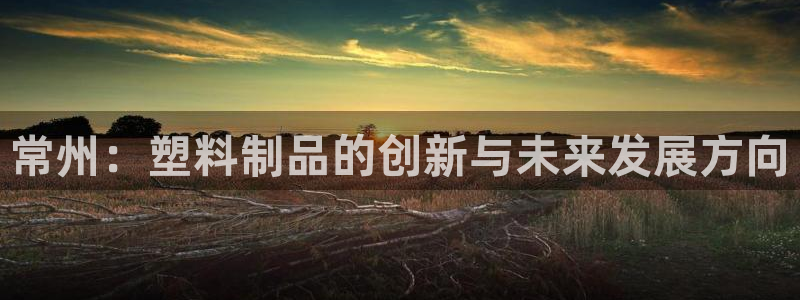 太阳集团董事长的儿子照片：常州：塑料制品的创新与未来发展方向