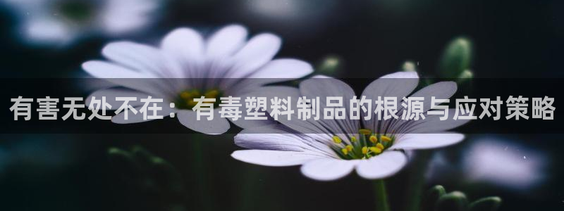 太阳游戏城app：有害无处不在：有毒塑料制品的根源与应对策略