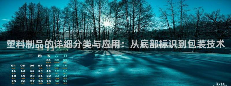 太阳老板是谁：塑料制品的详细分类与应用：从底部标识到包装技术