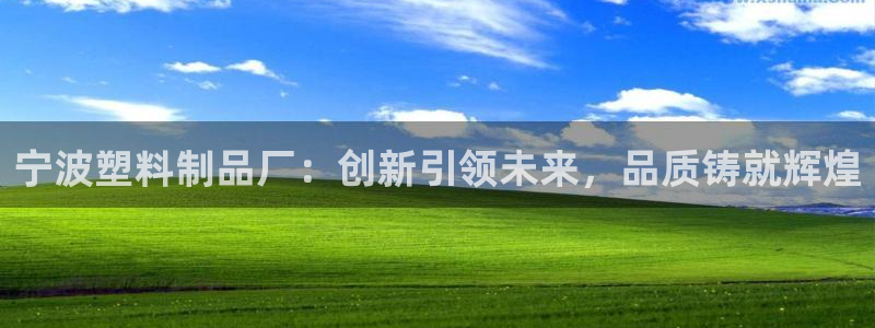 太阳集团怎么样：宁波塑料制品厂：创新引领未来，品质铸就辉煌