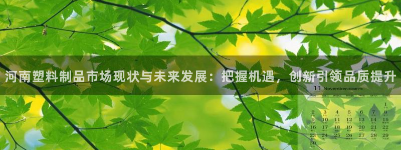 太阳集团电子游戏：河南塑料制品市场现状与未来发展：把握机遇，