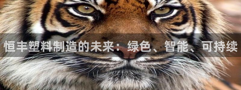 太阳集团2018登录网址是多少：恒丰塑料制造的未来：绿色、智
