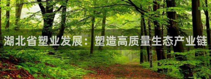 太阳集团网站古天乐代言：湖北省塑业发展：塑造高质量生态产业链