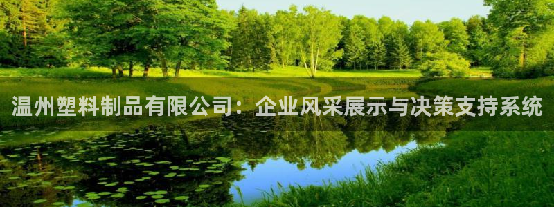 冷たい太阳：温州塑料制品有限公司：企业风采展示与决策支持系统