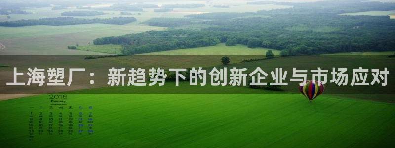 太阳成集团是干嘛的：上海塑厂：新趋势下的创新企业与市场应对