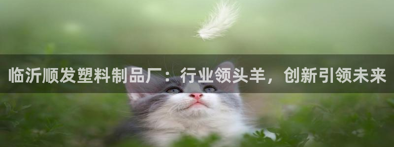 太阳成集团是干嘛的：临沂顺发塑料制品厂：行业领头羊，创新引领