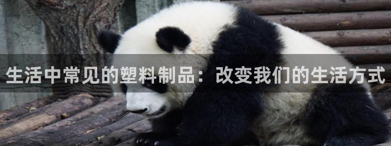 太阳gg平台登陆：生活中常见的塑料制品：改变我们的生活方式