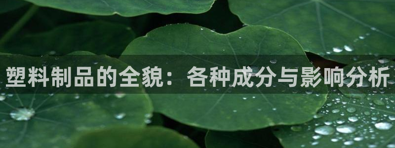 太阳集团2018登录网址查询：塑料制品的全貌：各种成分与影响