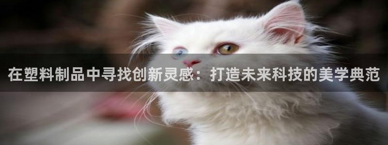 太阳老板身价：在塑料制品中寻找创新灵感：打造未来科技的美学典