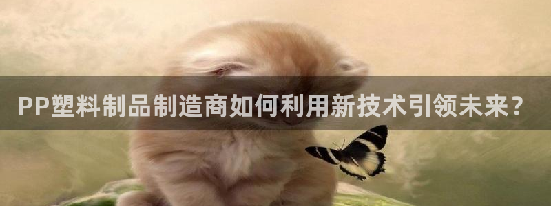 太阳集团娱乐官方网站入口：PP塑料制品制造商如何利用新技术引