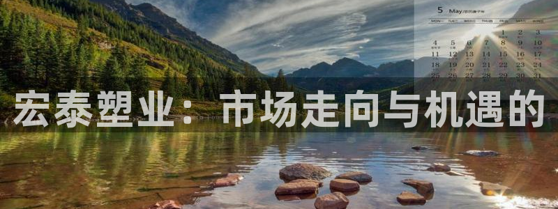 太阳成集团百度百科：宏泰塑业：市场走向与机遇的
