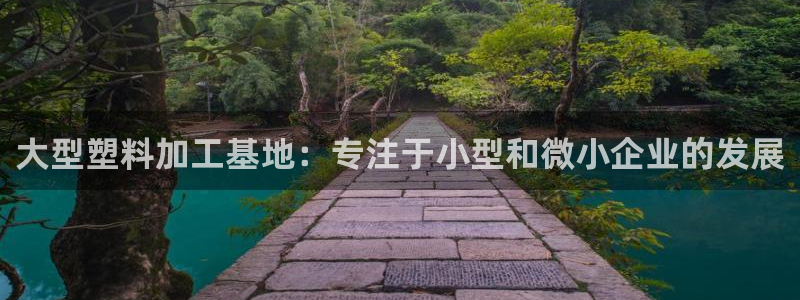 太阳集团1383：大型塑料加工基地：专注于小型和微小企业的发