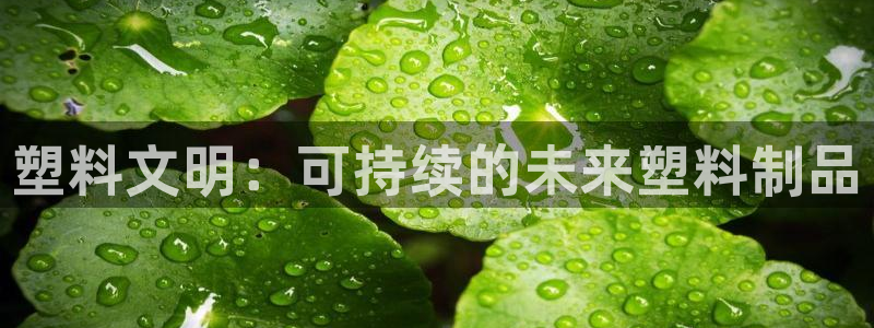 太阳成集团tyc33455cc官网：塑料文明：可持续的未来塑