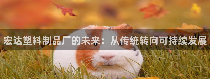 太阳集团城2017：宏达塑料制品厂的未来：从传统转向可持续发
