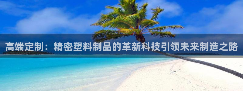 太阳诚集团是干什么的：高端定制：精密塑料制品的革新科技引领未