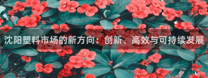 古天乐太阳集团城app：沈阳塑料市场的新方向：创新、高效与可