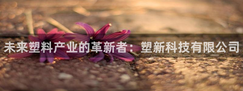 太阳集团电子游戏官网：未来塑料产业的革新者：塑新科技有限公司