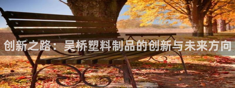 江苏太阳集团冷青松：创新之路：吴桥塑料制品的创新与未来方向